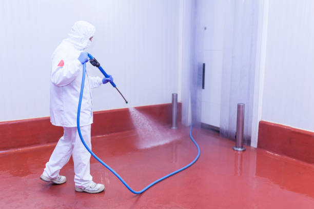 Best Spring Cleaning  in Vienna, VA